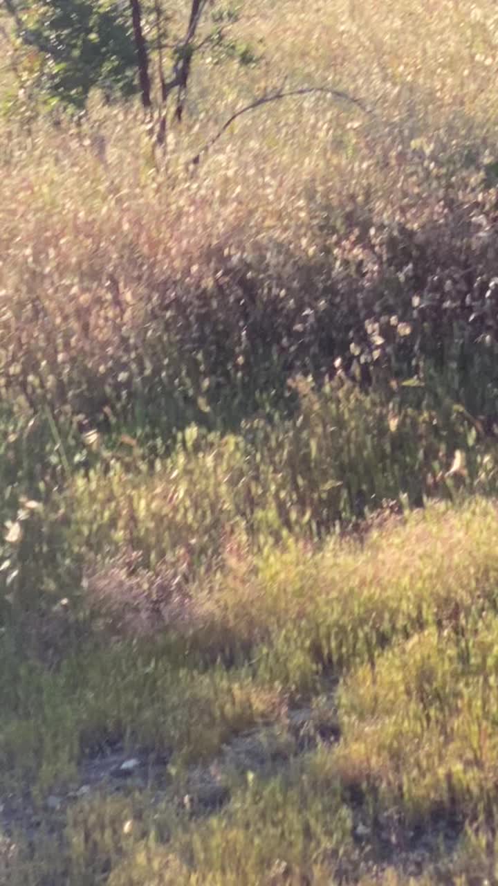 Gundlach Bundschu Winery