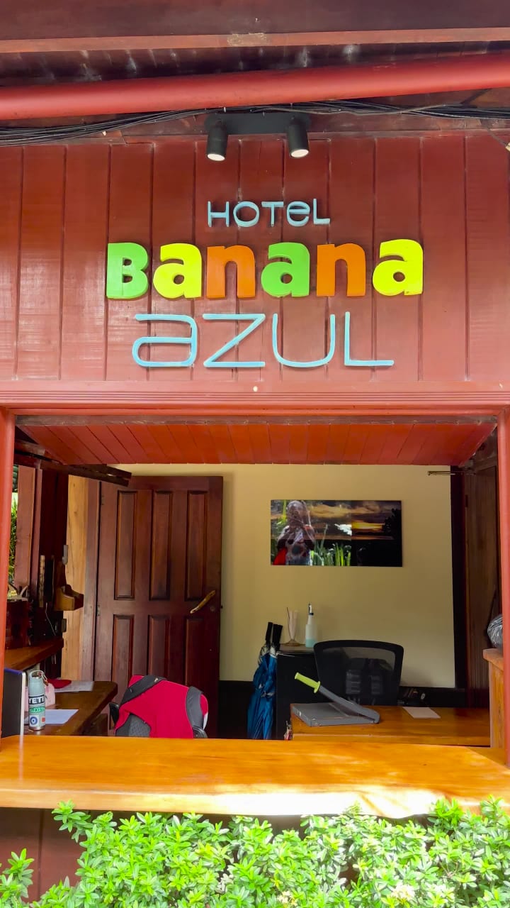 Banana Azul