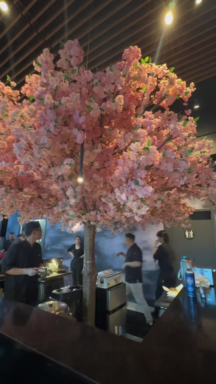 Video review of Kaizen