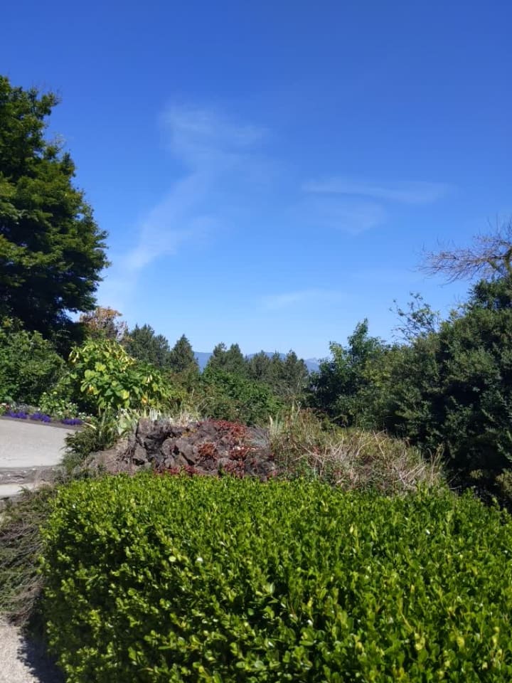 Video review of Queen Elizabeth Park