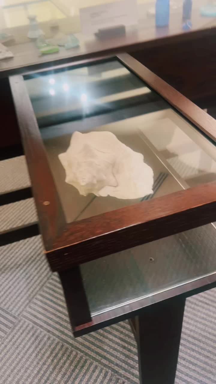 Video review of African American Museum