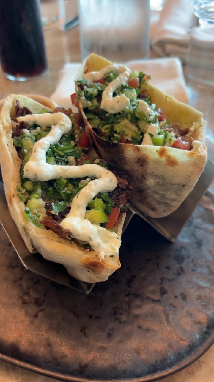 Video review of Predalina