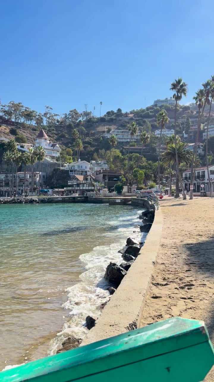 Video review of Avalon Harbor