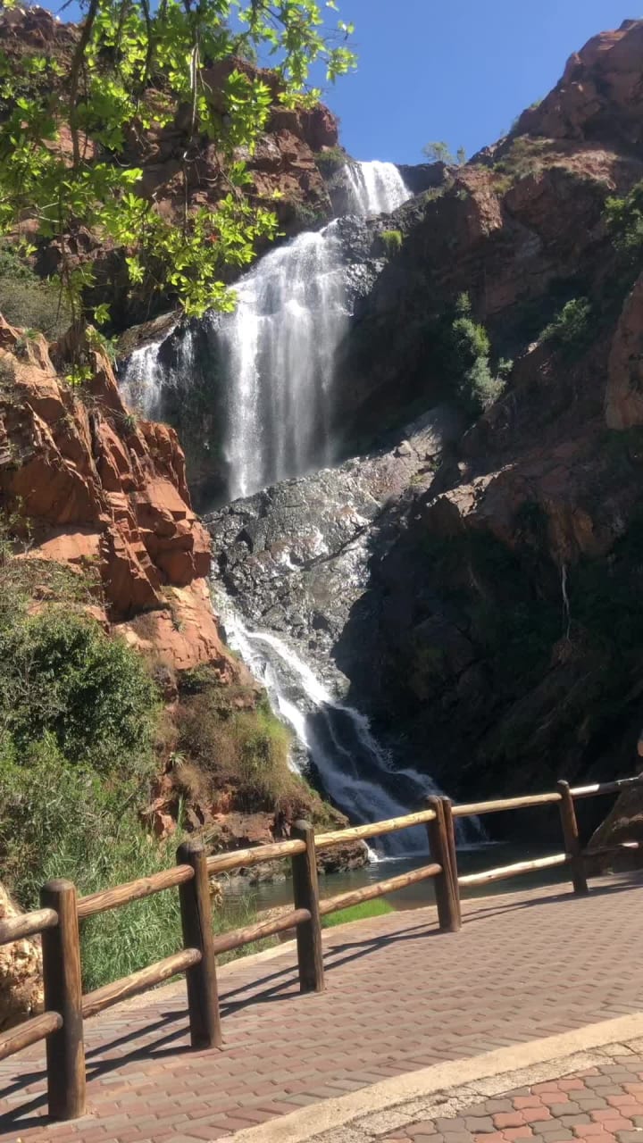 Eagles Fare, Walter Sisulu botanical gardens