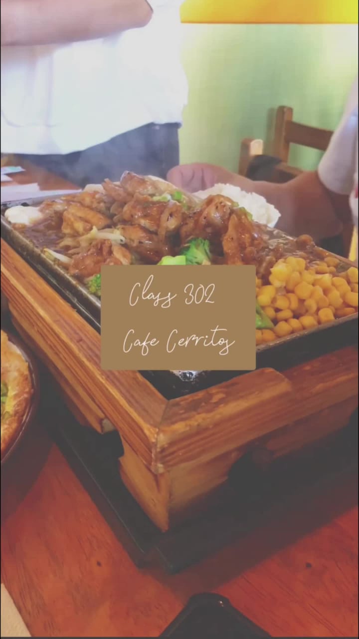 Video review of Class 302