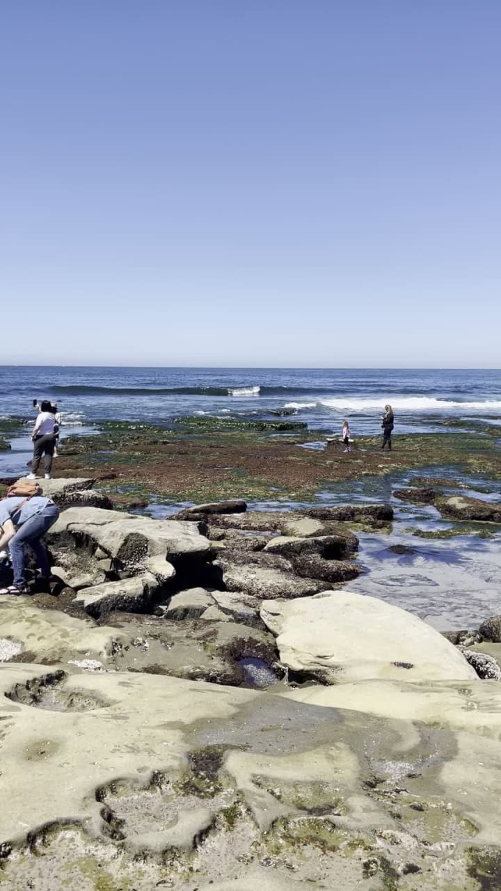 Video review of La Jolla Tide Pools