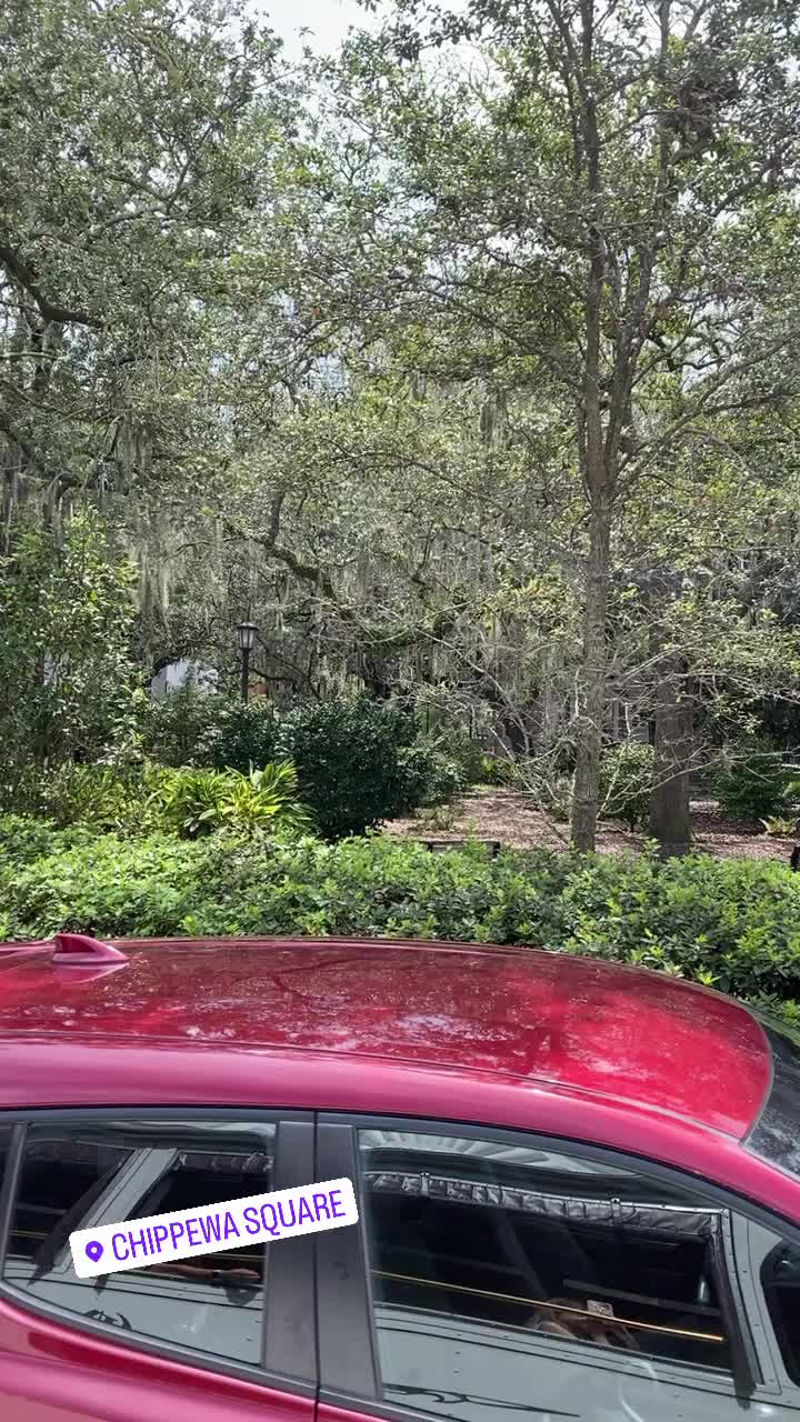 Video review of Chippewa Square