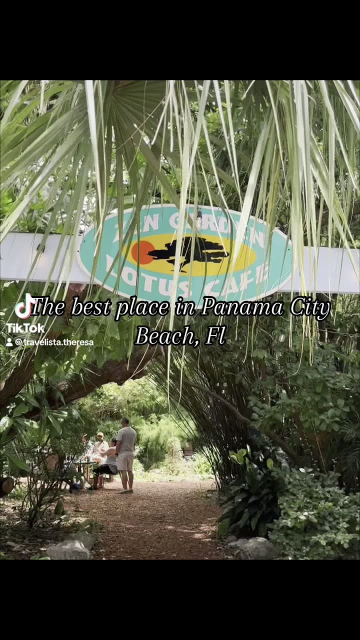 Video review of Lotus Cafe & Fluid Lounge