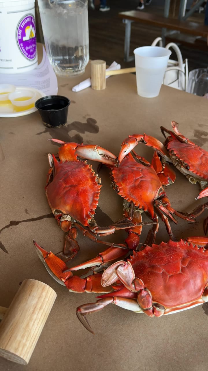 Video review of Mike's Crabhouse