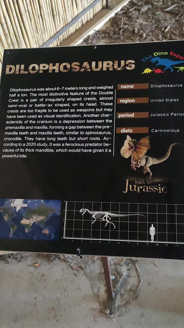 Sandton Central Park