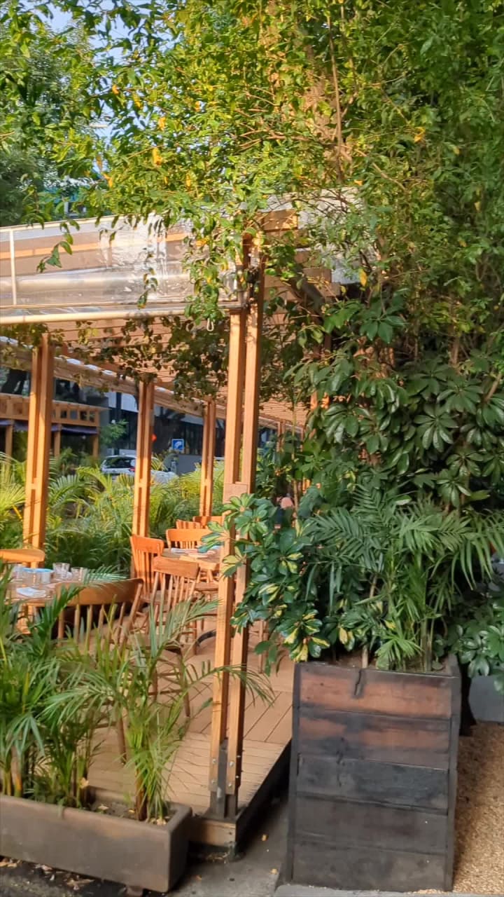 Video review of Rosetta