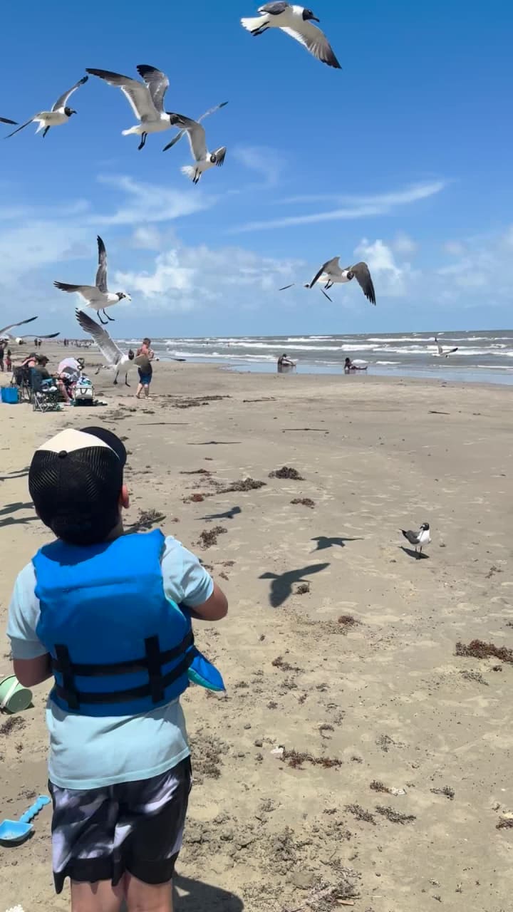 Galveston Island Historic Pleasure Pier