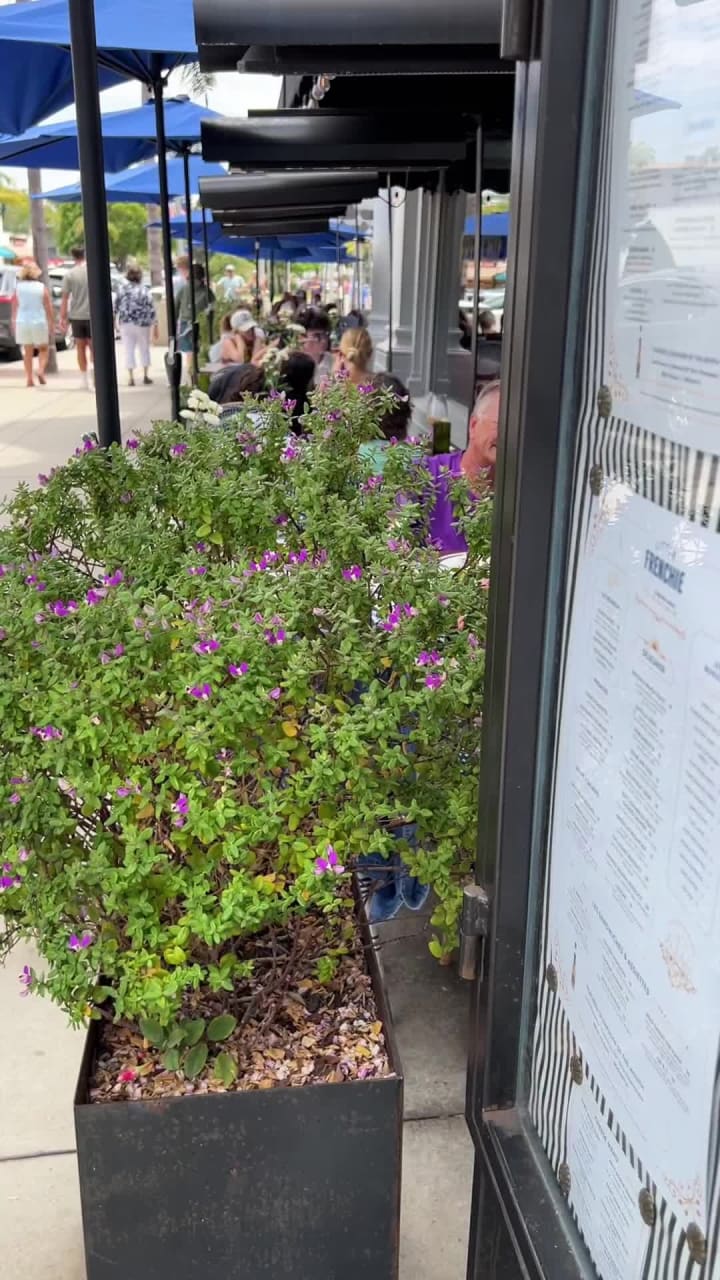 Video review of Coronado Island Marriott Resort & Spa