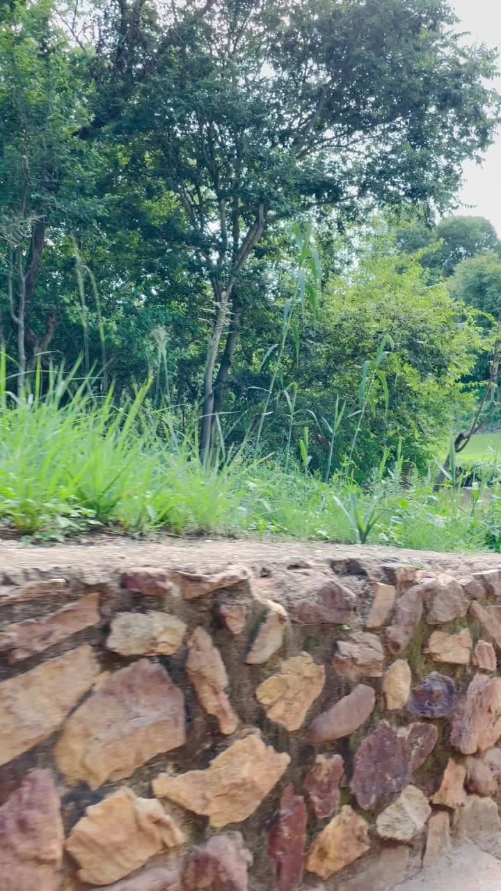 26 Degrees South Bush Boho Hotel