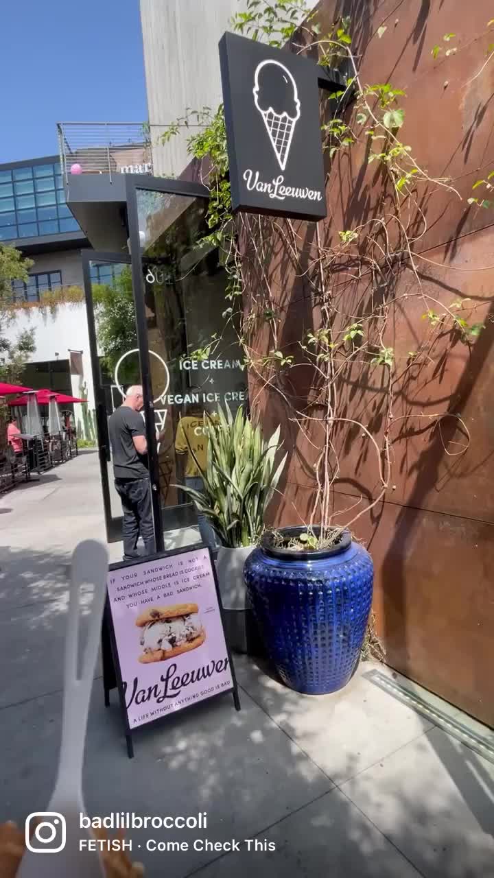 Van Leeuwen Ice Cream