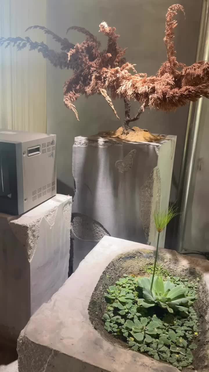 Video review of Keijometo