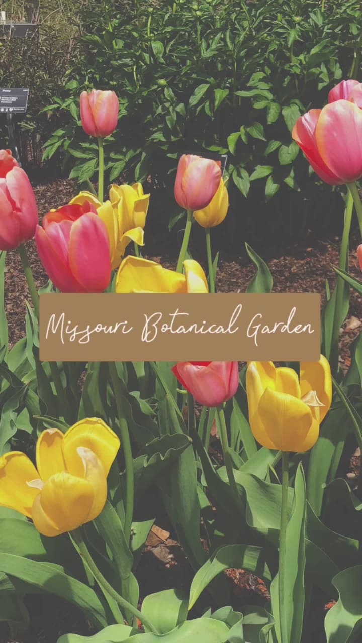 Video review of Missouri Botanical Garden
