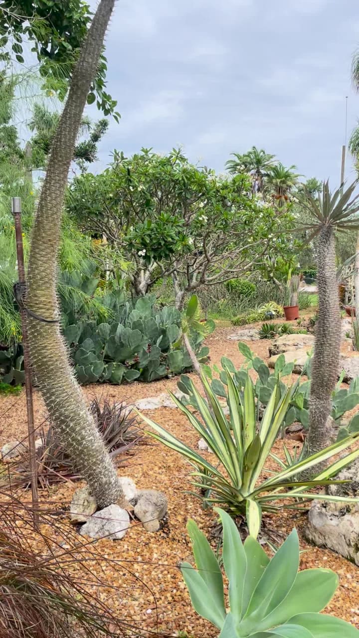 Marie Selby Botanical Gardens