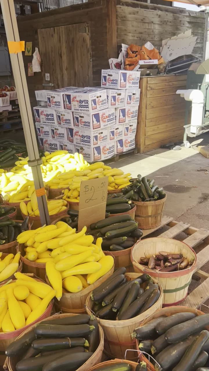 Video review of Gardens of Babylon Landscapes