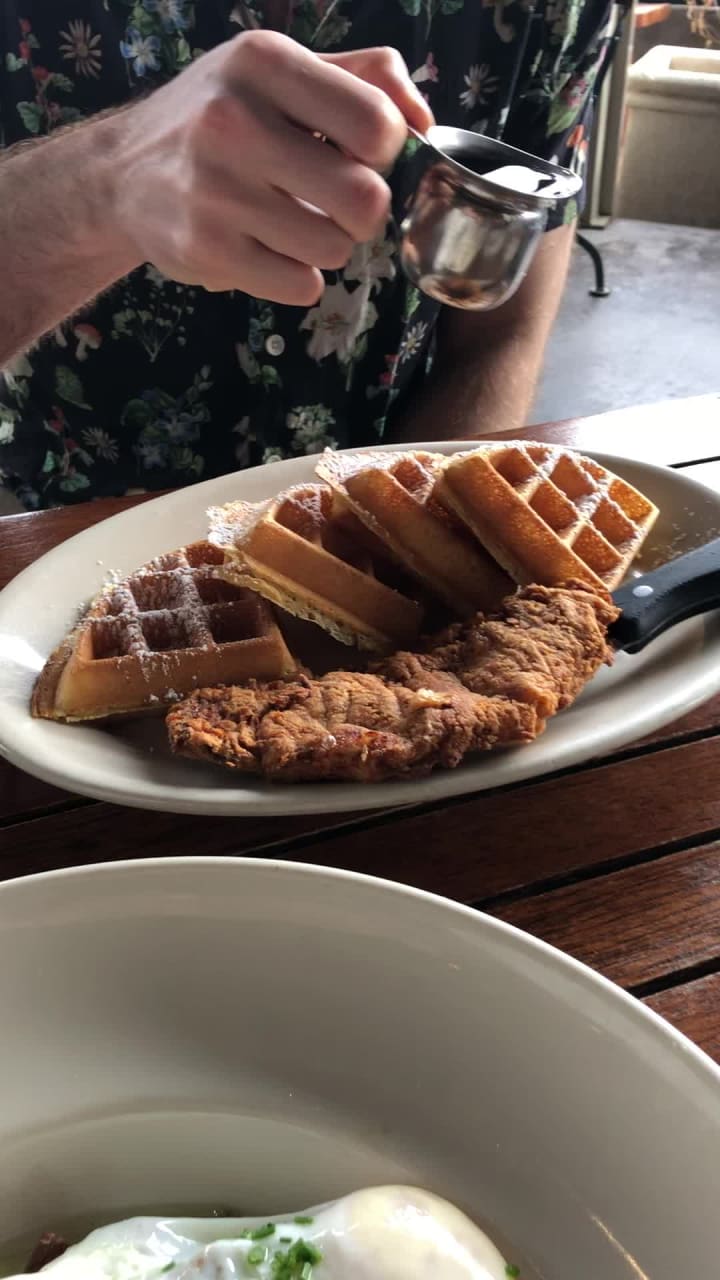 Video review of Meddlesome Moth