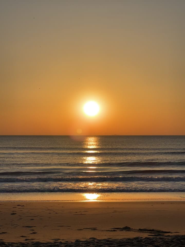 Video review of Neptune's Park