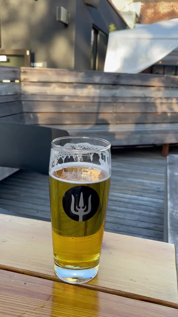 Video review of Wayfinder Beer