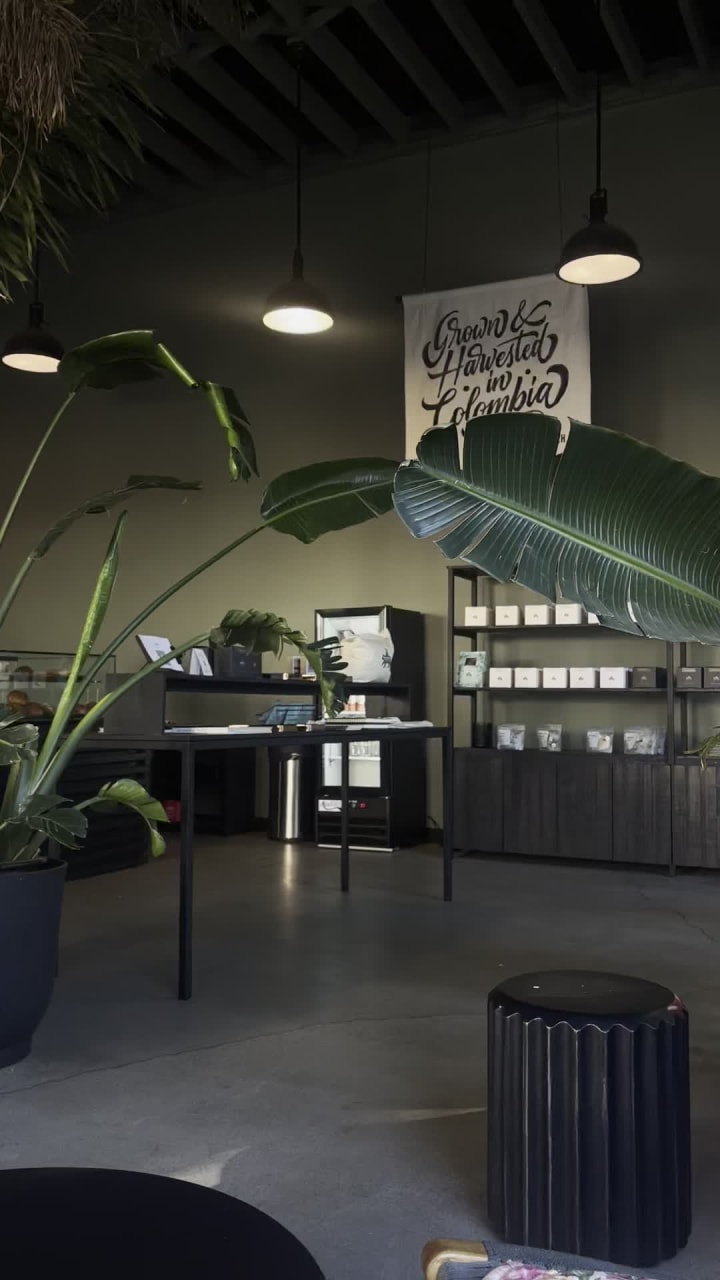 Video review of The Boy & The Bear (Green Store)