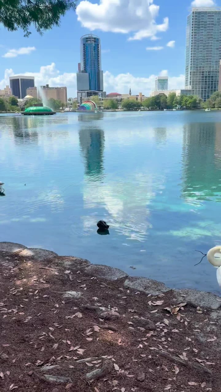Lake Eola Park