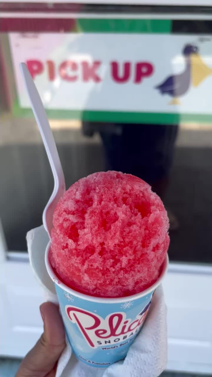 Pelican's Snoballs-Roswell Rd:Closed for the 2024 Season!