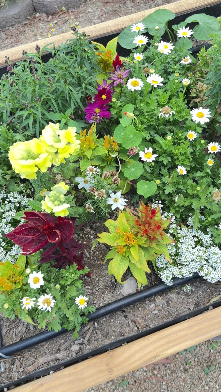 Video review of Springs Preserve