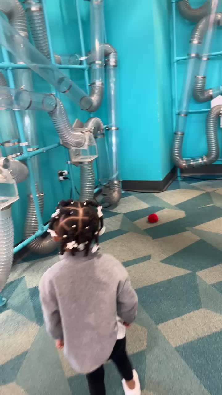 Sloan Museum Auto Fair