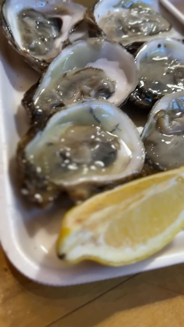 Video review of Boston & Maine Fish Company