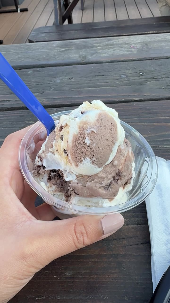 Video review of Handel’s Homemade Ice Cream