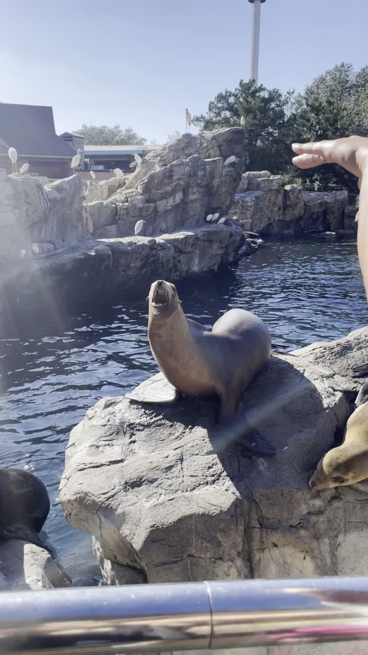 Video review of SeaWorld Orlando