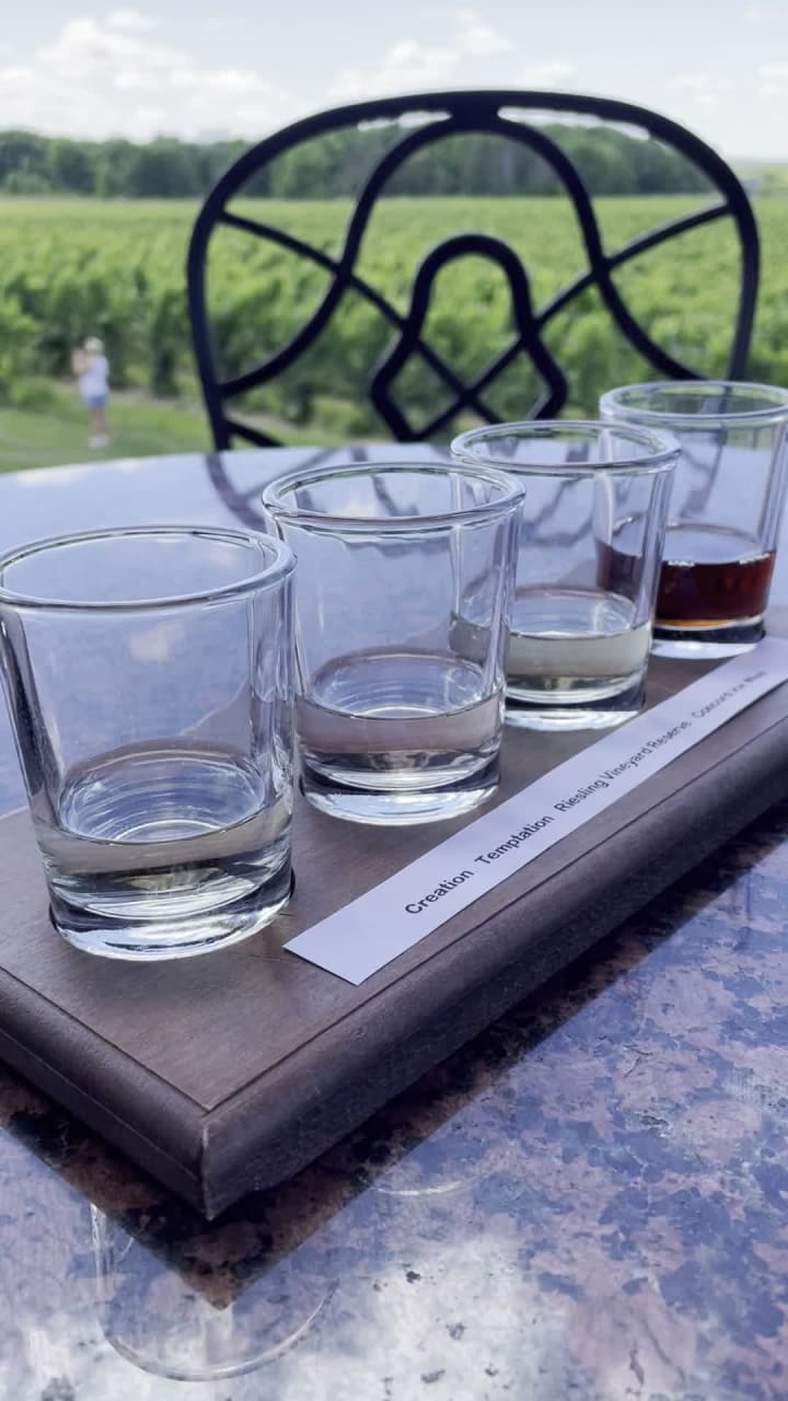 South River Winery & Vineyard