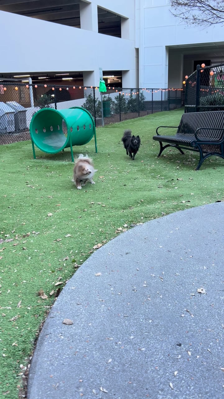 Dancing Goats Coffee Bar