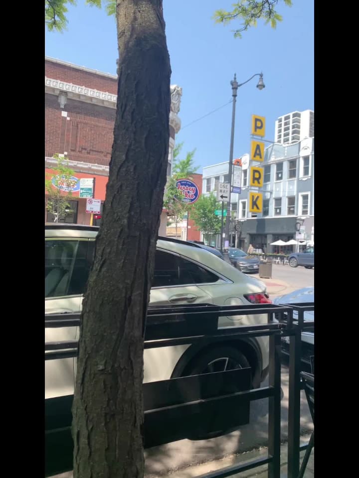 Video review of Little Wok