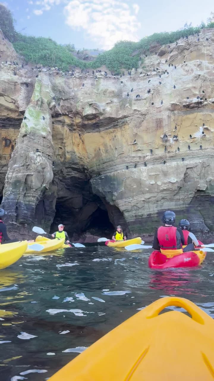 Video review of La Jolla Beach
