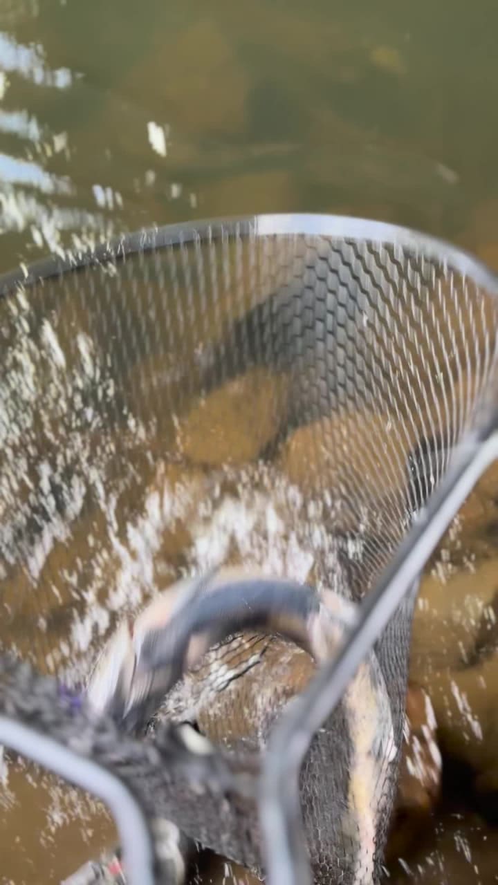 Video review of Museum of Pop Culture (MoPOP)