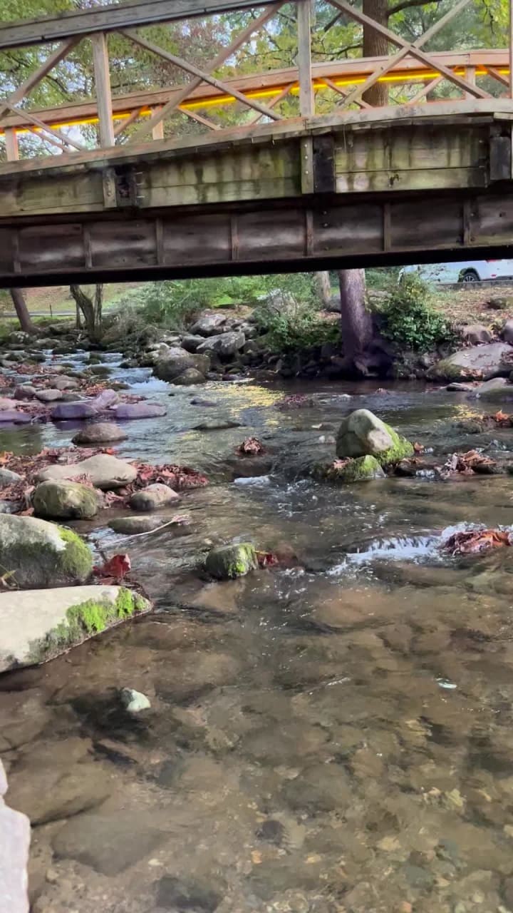 Video review of Smoky Mountain Brewery