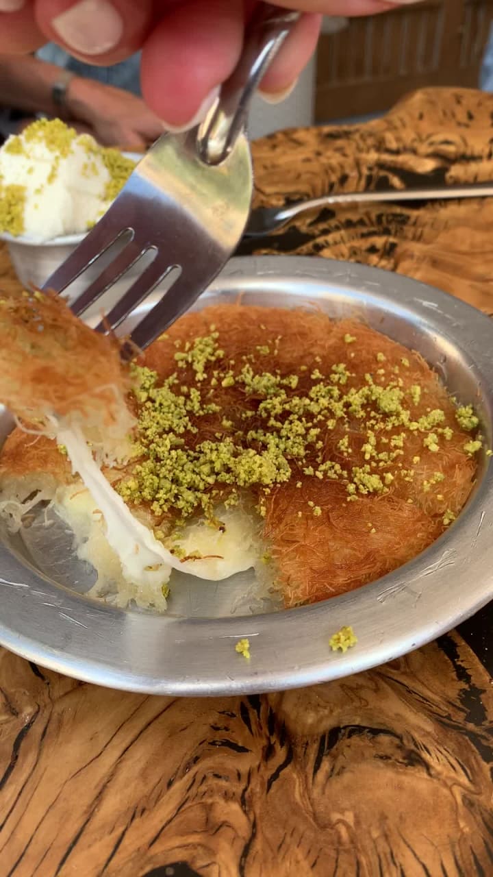 כנאפה תלפיות