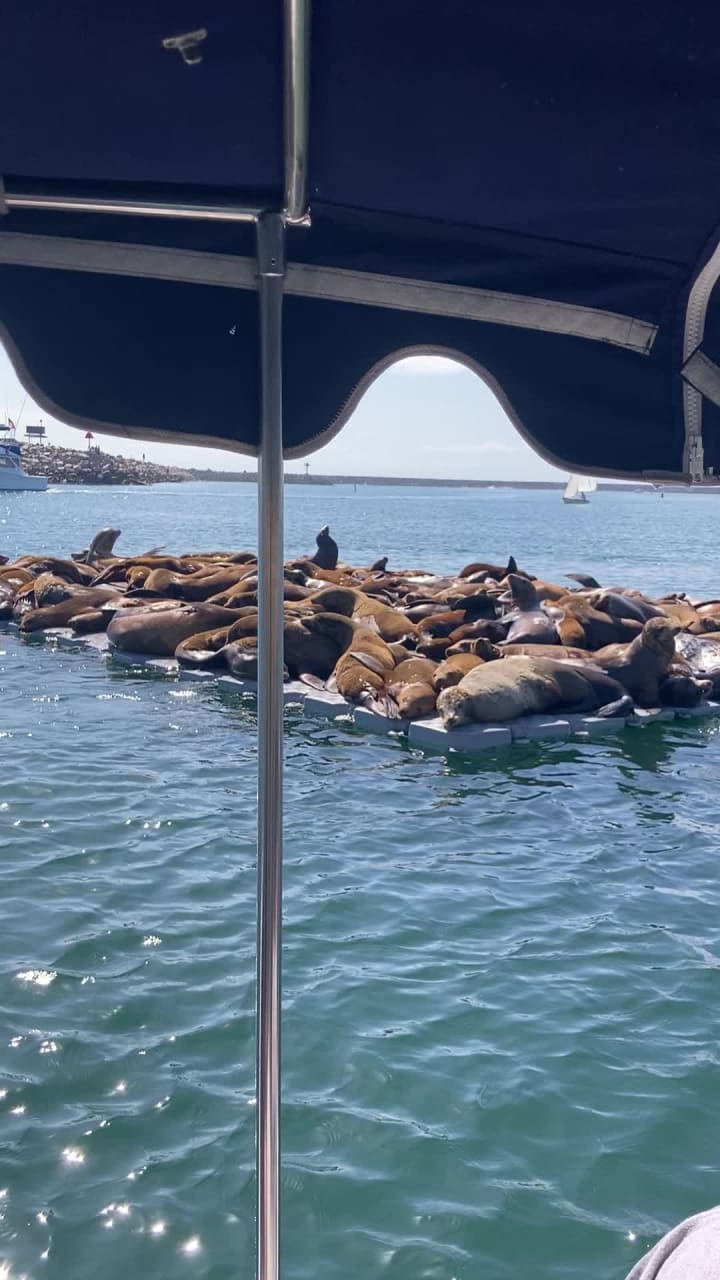 Oceanside Boat Rental