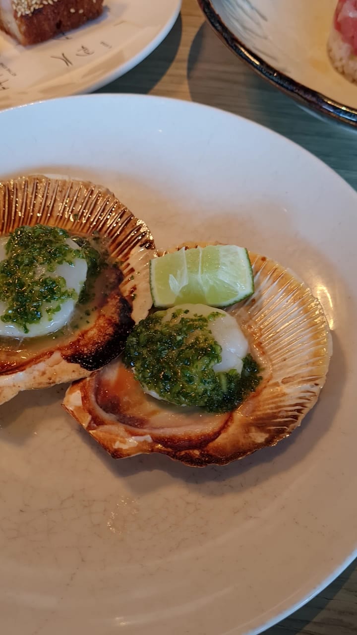 Video review of Flying Fish