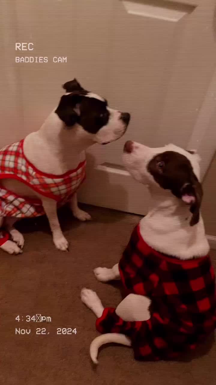 Sutton Road Animal Hospital