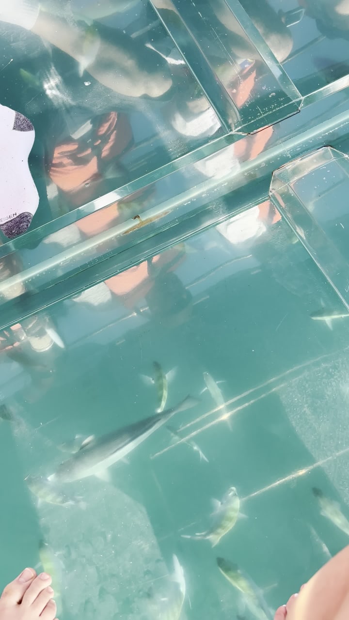 El Arco, Baja California Sur