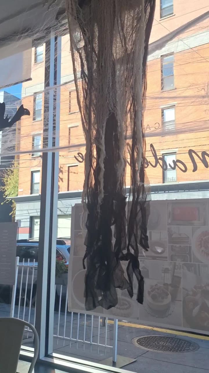 Video review of Cafe Madelaine