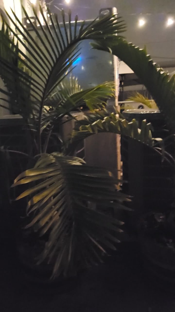 Invasive Species Brewing