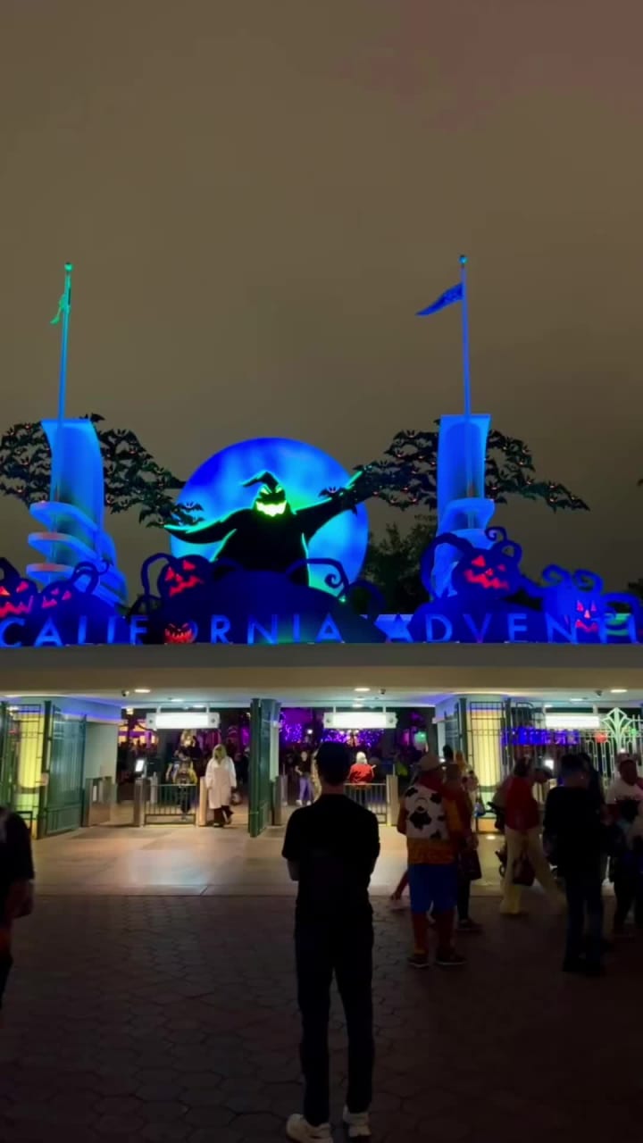 Disney California Adventure Park