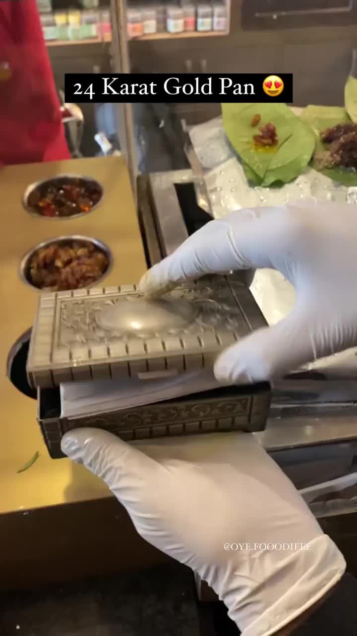 The Grill Ville by Pan Da Tikka