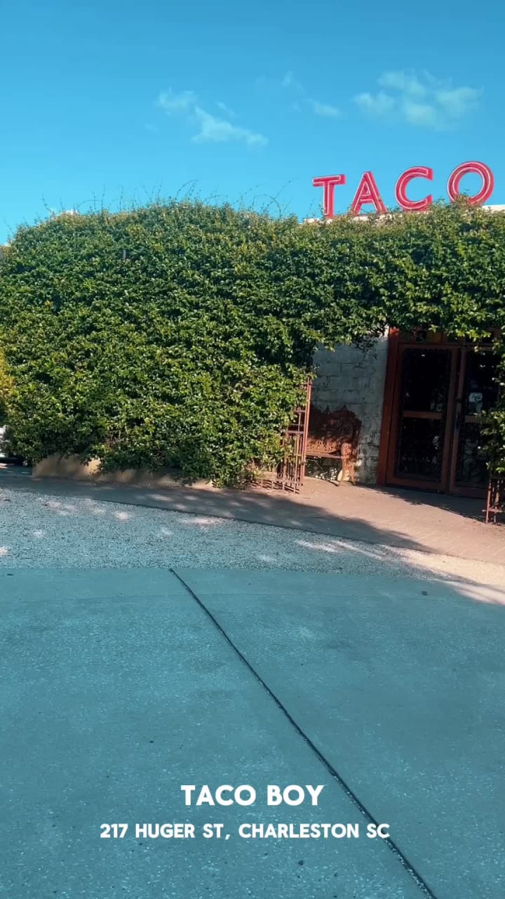 Video review of Taco Boy